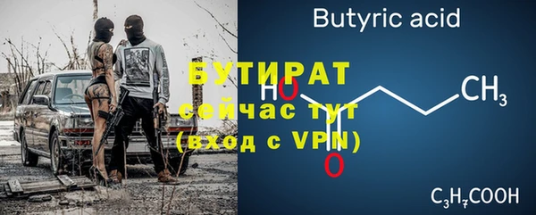 индика Ладушкин