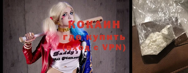 индика Ладушкин