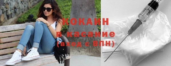 индика Ладушкин