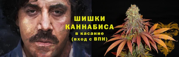 индика Ладушкин