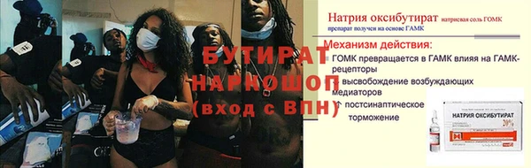 индика Ладушкин