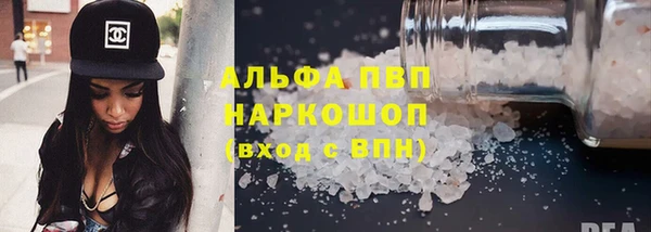 индика Ладушкин