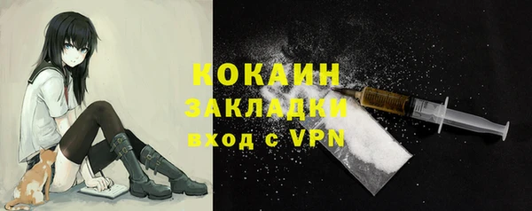 индика Ладушкин