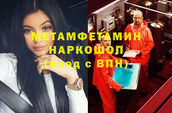 индика Ладушкин
