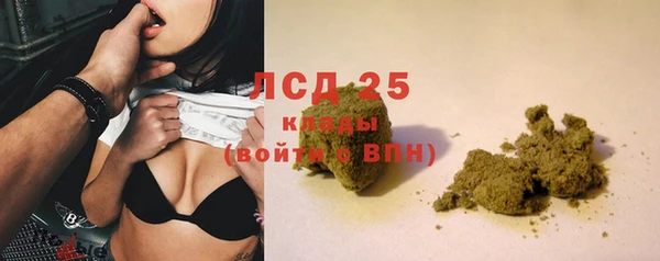 индика Ладушкин