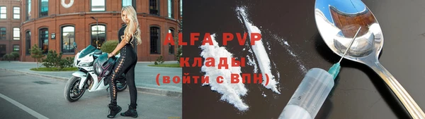индика Ладушкин