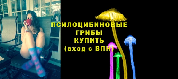 мескалин Лабытнанги