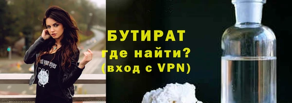 индика Ладушкин