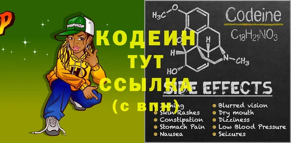 индика Ладушкин